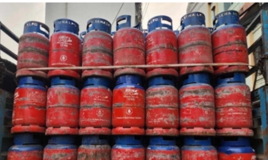 বাঘায় দোকানে দোকানে ঘুরেও মিলছেনা গ্যাস সিলিন্ডার ,গ্রাহকদের দুর্ভোগ