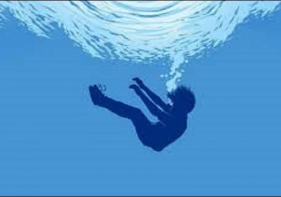 নানা বাড়ির পুকুরে প্রাণ গেল দুই ভাইয়ের