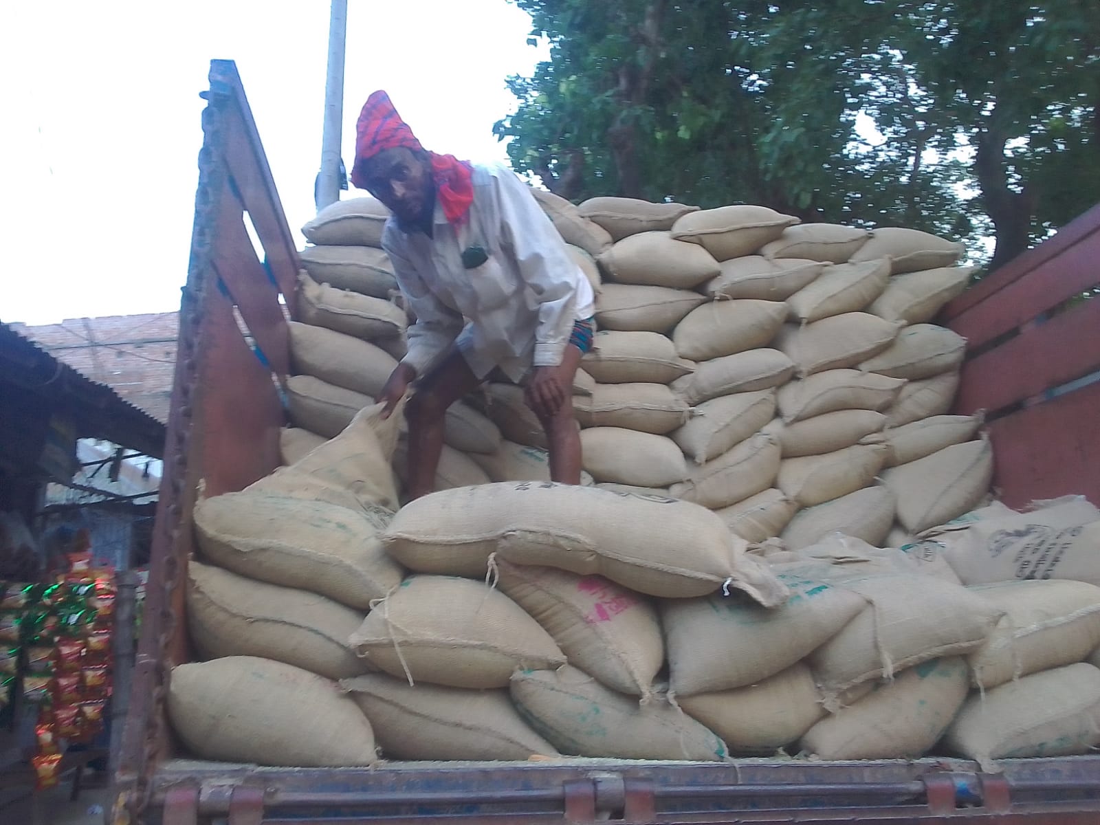 খাদ্যবান্ধব কর্মসূচির আওতায় সিরাজগঞ্জ সলঙ্গাতে ৪৯৬ জন নিম্নবিত্ত পরিবারের মাঝে চাল বিতারণ