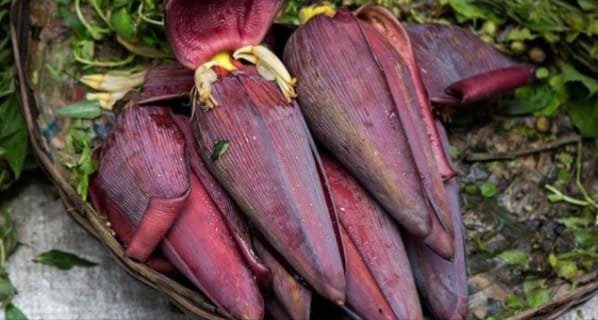 বাংলাদেশে কলার মোচার অসাধারণ স্বাস্থ্যগুণ