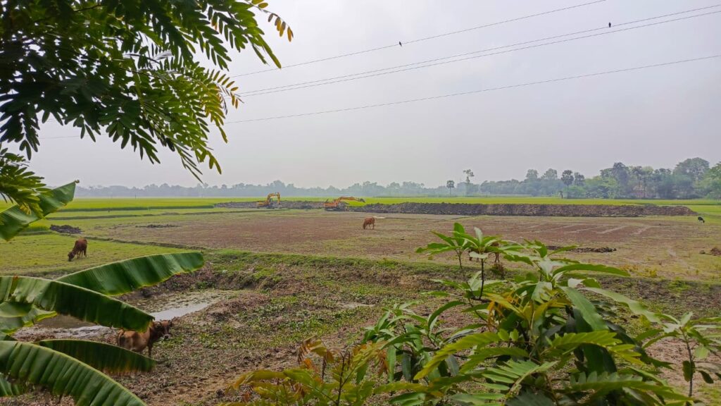 নওগাঁ মান্দায় রাতের আঁধারে তিন ফসলী জমিতে অবৈধ পুকুর খনন, প্রশাসন  নিরব 