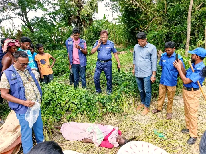 আমতলীতে ধানক্ষেতে মিলল অজ্ঞাত নারীর লাশ