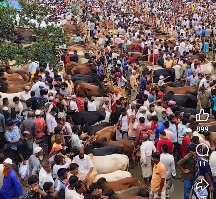 সলঙ্গায় কোরবানীর পশুর হাটে ক্রেতা-বিক্রেতাদের ভীড়