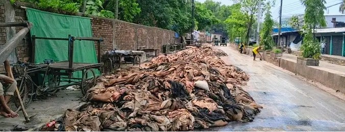 চট্টগ্রাম শহরের যত্রতত্র কোরবানি গরুর কাঁচা চামড়া পঁচে দুর্গন্ধ ছড়াচ্ছে, দেখার যেনো কেউ নেই!