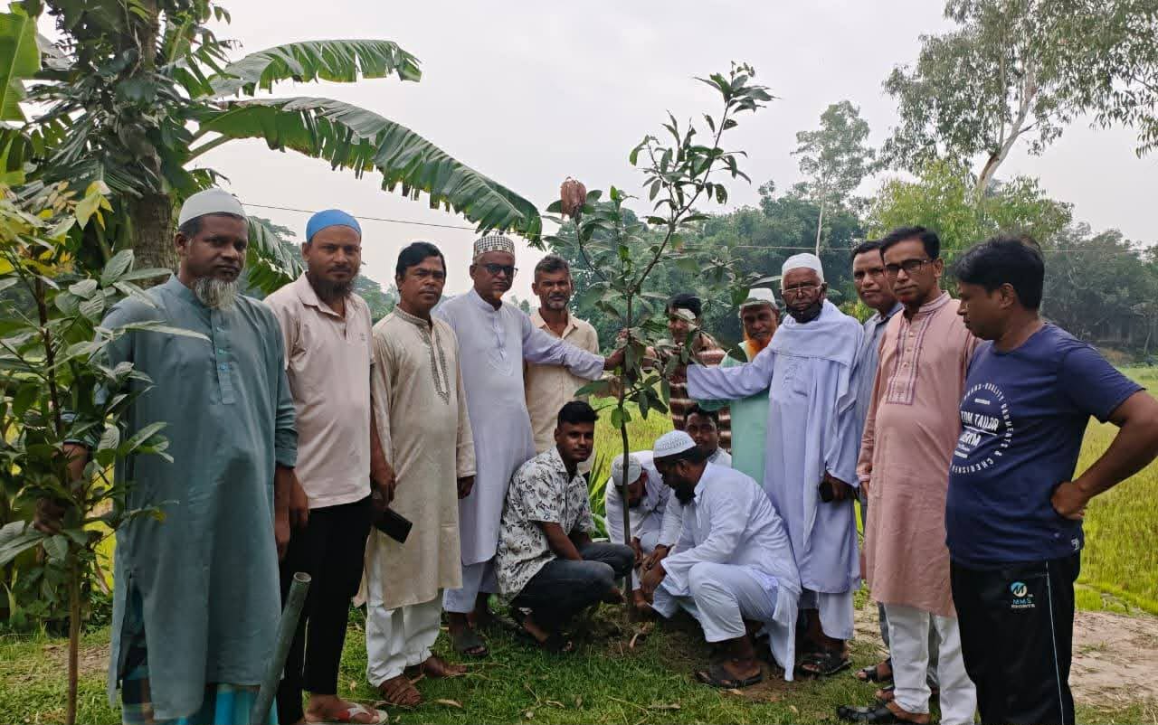 বিশ্ব পরিবেশ দিবসে সলঙ্গায় সবুজের অঙ্গী কার: বৃক্ষরোপণ ও মানববন্ধনে পরিবেশ রক্ষার প্রত্যয়