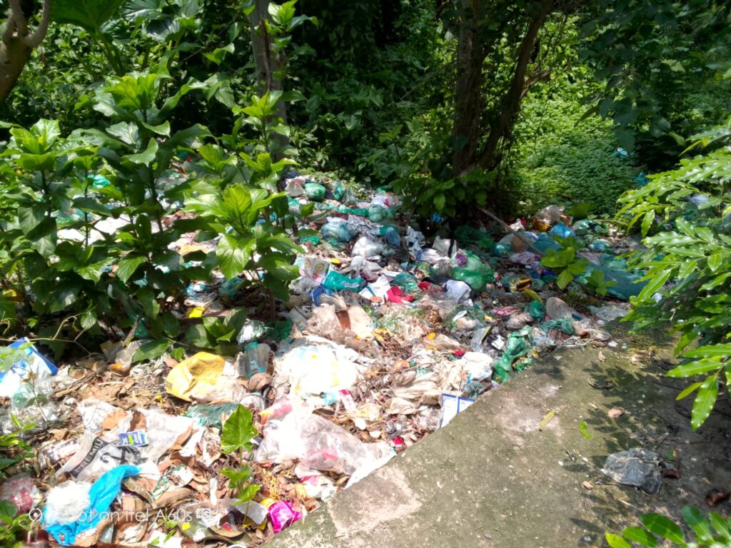 দিঘলিয়ায় ড্রেন দূষণে পরিবেশ বিপর্যয়ের আশঙ্কা, কর্তৃপক্ষের হস্তক্ষেপ দাবি