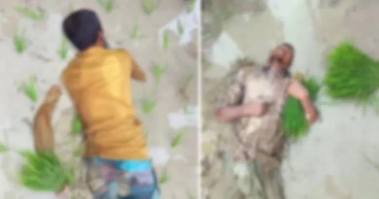 চট্টগ্রামের ফটিকছড়িতে বিদ্যুতের তারে জড়িয়ে দুই কৃষকের মৃত্যু