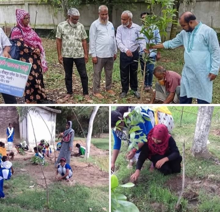 জুলাইয়ের স্মরণে শ্রীমন্তপুর বালিকা উচ্চ বিদ্যালয়ে প্রাণবন্ত বৃক্ষরোপণ কর্মসূচি পালিত