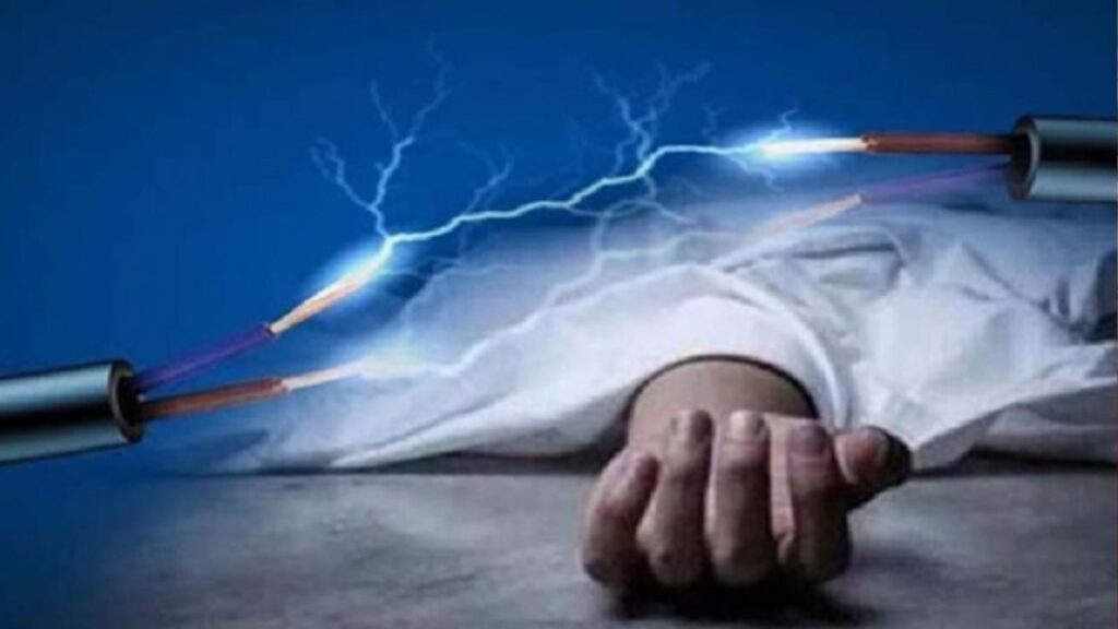 লালপুরে শিয়ালের হাত থেকে খামার বাঁচাতে বিদ্যুৎ ফাঁদ, বিদ্যুৎস্পৃষ্ট হয়ে খামারির মৃত্যু