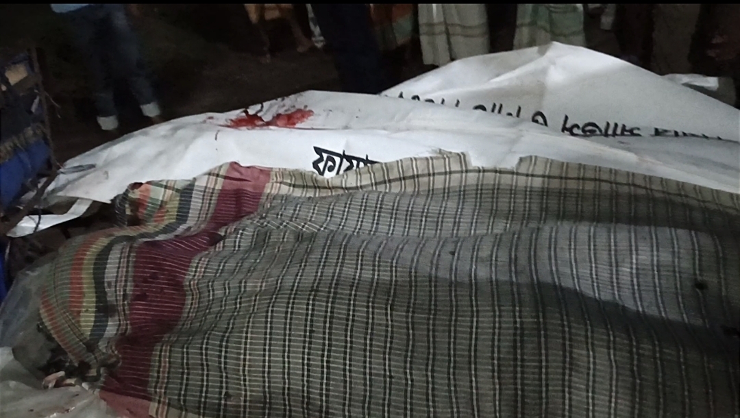 কেশরহাট ডিগ্রি কলেজের সামনে মর্মান্তিক দুর্ঘটনা, প্রাণ গেল দুই যুবকের