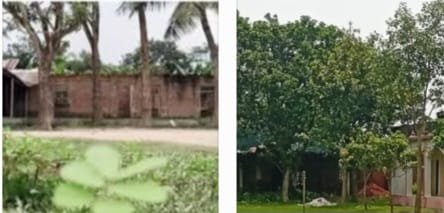 বদলগাছীতে ১৭ টি মাদ্রাসার ৩২০ জন পরিক্ষার্থীর মধ্যে ১৫৯ পরিক্ষার্থী পাস ৩ টি মাদ্রাসায় পরিক্ষার্থী নাই।   রাজনৈতি মুক্ত শিক্ষক চান স্বচেতন মহল।