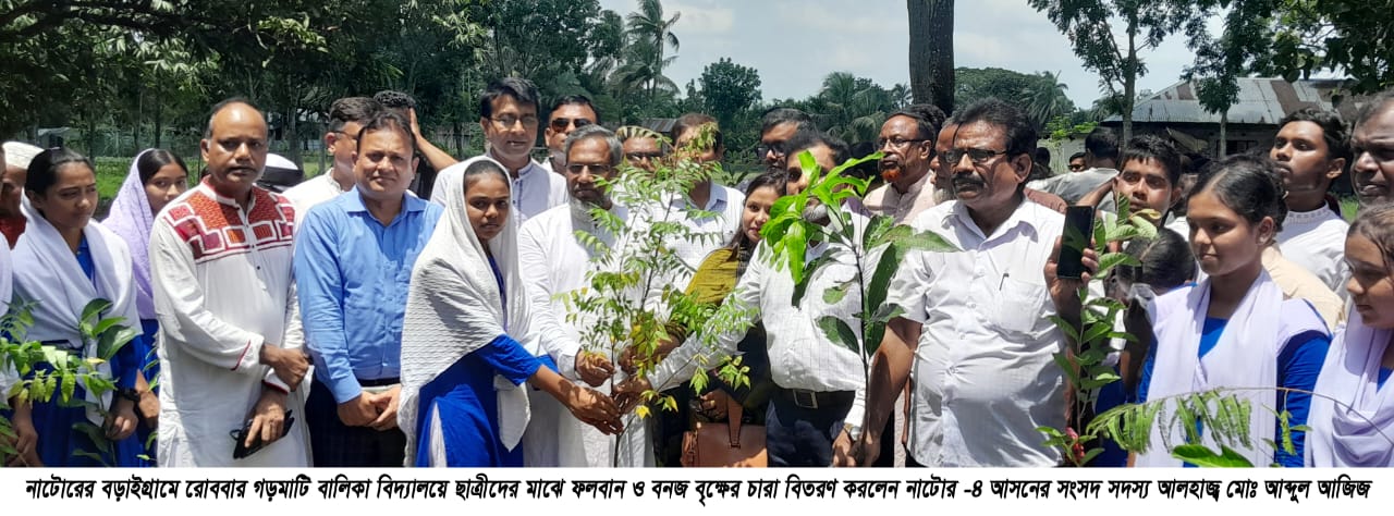 বড়াইগ্রামে ছাত্রীদের মাঝে বৃক্ষের চারা বিতরণ করলেন আব্দুল আজিজ এমপি