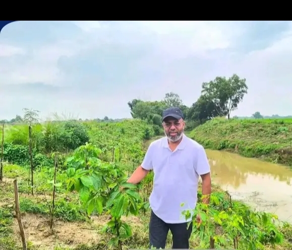 নিয়ামতপুরে ২০ কিলোমিটার স্ট্রিপ বাগানে ২০ হাজার চারা রোপণ, উদ্বোধন করলেন প্রতিমন্ত্রী শেখ ফরিদুল ইসলাম।