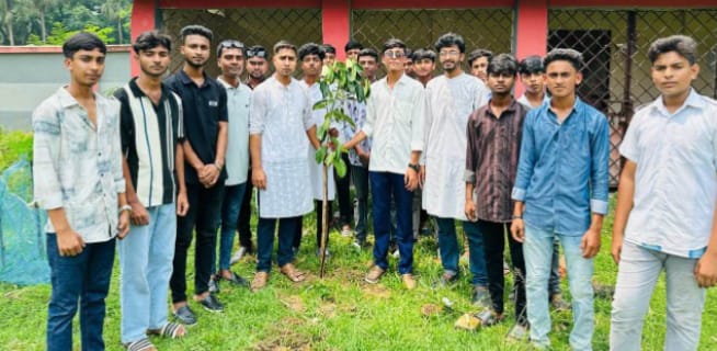 নওগাঁ মান্দায় ছাত্রদলের বৃক্ষরোপণ কর্মসূচি