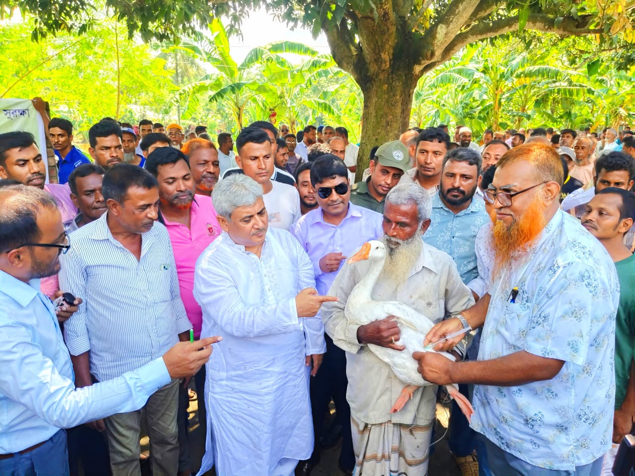 পবায় ফ্রি টিকায় সুরক্ষিত হচ্ছে ৮৩ হাজার গবাদিপশু ও হাঁস-মুরগি, স্বস্তিতে প্রান্তিক খামারিরা