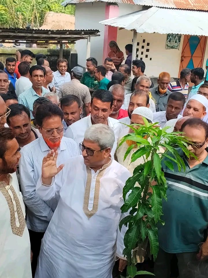 রাজশাহী ৩ আসনে এমপি শফিকুল হক মিলনের নেতৃত্বে বৃক্ষরোপণ কর্মসূচি অনুষ্ঠিত