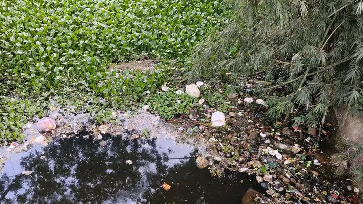 নিয়ামতপুর সদরের  একমাত্র খাল ময়লা-আবর্জনায় দূষিত, দুর্গন্ধে অতিষ্ঠ এলাকাবাসী