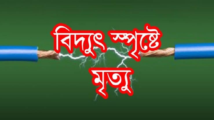 চট্টগ্রামের মীরসরাইয়ের আমবাড়িয়ায় বিদ্যুৎ কর্তপক্ষের গাফলতিতে পড়ে থাকা তার সরাতে গিয়ে স্পৃষ্ট হয়ে হিন্দু মহিলার মৃত্যু!